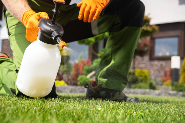 Best Exterminator Services  in Hapeville, GA