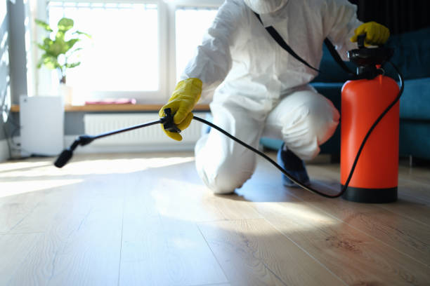 Professional Pest Control in Hapeville, GA