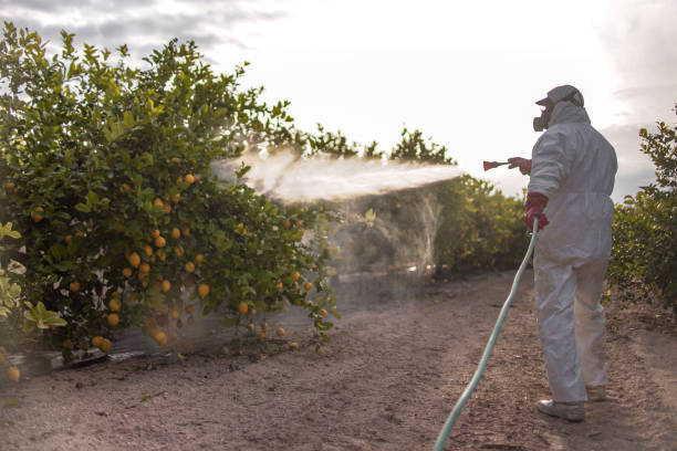 Best Emergency Pest Control  in Hapeville, GA