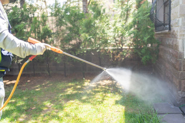 Best Rat Extermination Near Me  in Hapeville, GA