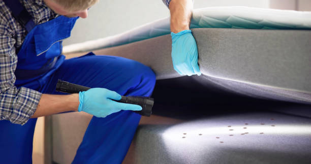 Best Residential Pest Control  in Hapeville, GA