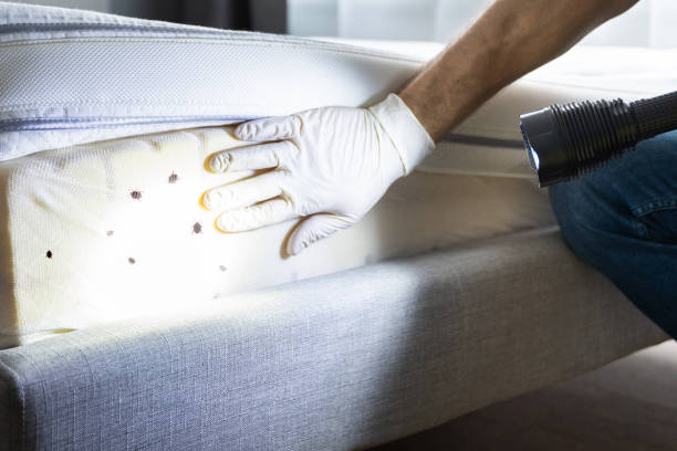 Best Affordable Pest Control Services  in Hapeville, GA