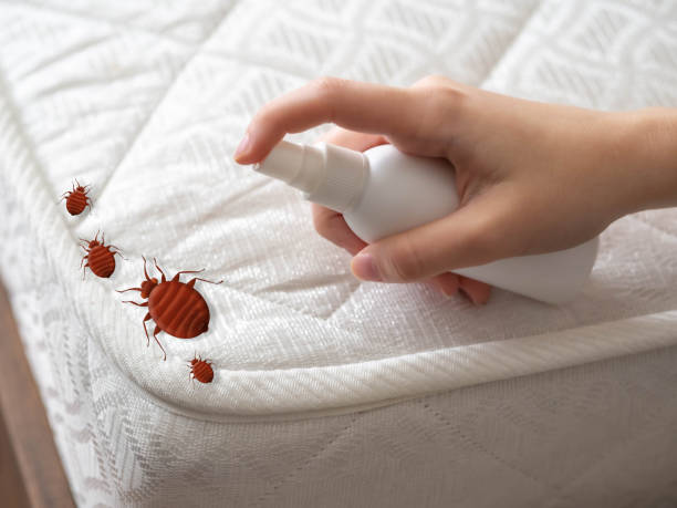 Best Mosquito Control Services  in Hapeville, GA