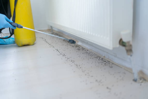 Best Affordable Exterminators  in Hapeville, GA